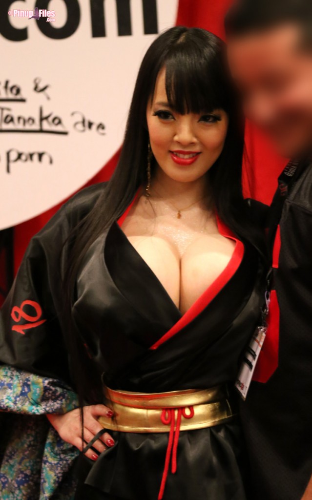 AVN 2015 With Hitomi Tanaka Pinup Files.